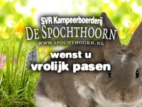 Paasweekend op kampeerboerderij de Spochthoorn