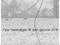 Fijne feestdagen en een mooi en gezond nieuwjaar !