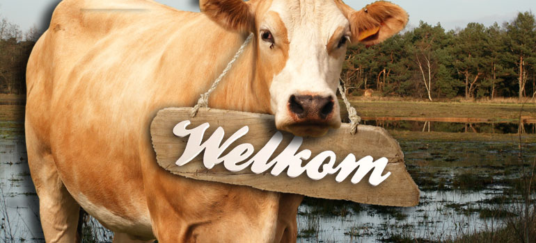 welkom